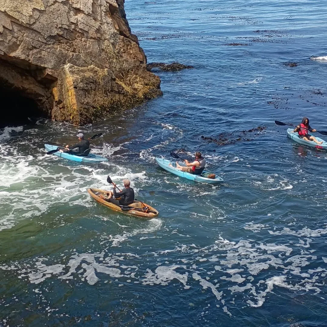 A guided kayak gliding into a sea cave on the Central Coast